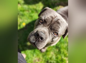 Bounty sucht dringend eine Pflege- oder Endstelle