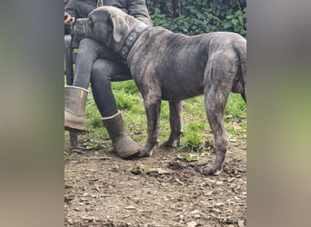 Bounty sucht dringend eine Pflege- oder Endstelle