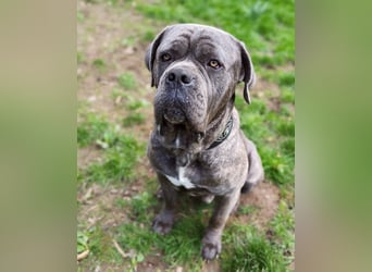 Bounty sucht dringend eine Pflege- oder Endstelle