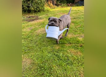 Bounty sucht dringend eine Pflege- oder Endstelle