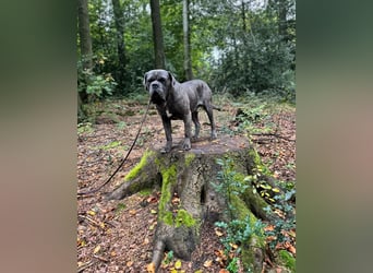 Bounty sucht dringend eine Pflege- oder Endstelle