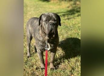 Bounty sucht dringend eine Pflege- oder Endstelle