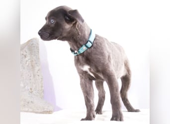 Noelly - voller Lebensfreude