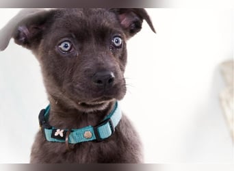 Noelly - voller Lebensfreude