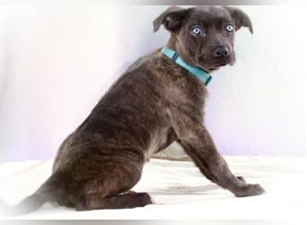 Noelly - voller Lebensfreude