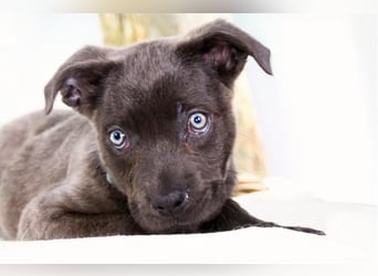 Noelly - voller Lebensfreude