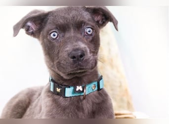 Noelly - voller Lebensfreude