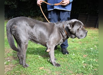 Arkell - Notall - Spuren, die keiner gegangen ist.