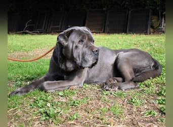 Arkell - Notall - Spuren, die keiner gegangen ist.