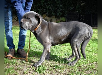 Arkell - Notall - Spuren, die keiner gegangen ist.