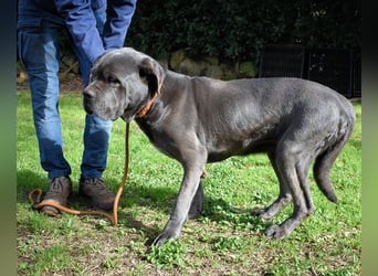 Arkell - Notall - Spuren, die keiner gegangen ist.