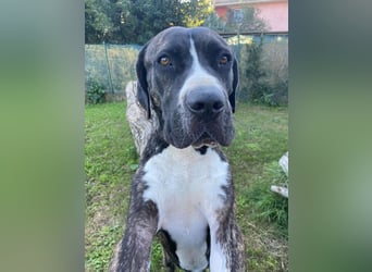 Mars - Sie hatten es doch so fest versprochen!