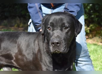 Quilver - Im Stillen reift, was Bestand haben will