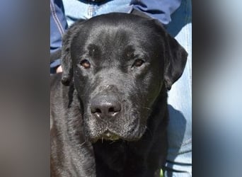 Quilver - Im Stillen reift, was Bestand haben will