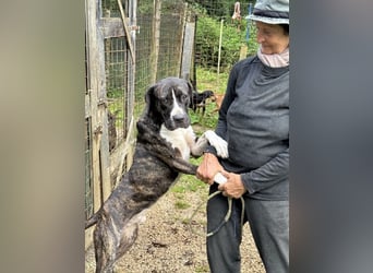 Mars - Sie hatten es doch so fest versprochen!