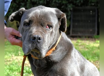 Arkell - Notall - Spuren, die keiner gegangen ist.