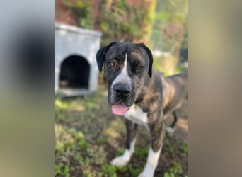 Mars - Sie hatten es doch so fest versprochen!