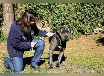 Arkell - SOS - hat Probleme mit den Augen