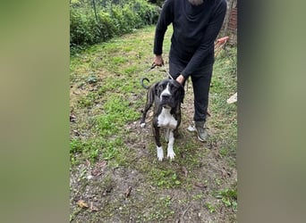 Mars - Sie hatten es doch so fest versprochen!