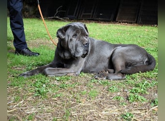 Arkell - Notall - Spuren, die keiner gegangen ist.