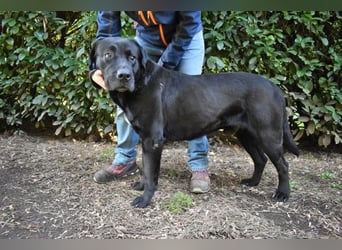 Quilver - Im Stillen reift, was Bestand haben will