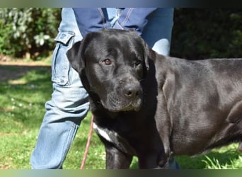 Quilver - Im Stillen reift, was Bestand haben will