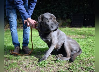 Arkell - Notall - Spuren, die keiner gegangen ist.