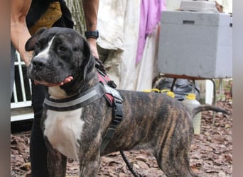 Mars - Sie hatten es doch so fest versprochen!