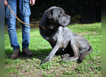 Arkell - Notall - Spuren, die keiner gegangen ist.