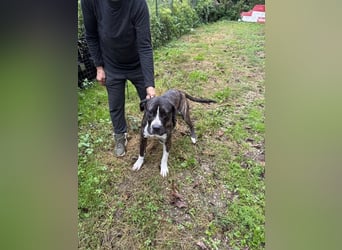 Mars - Sie hatten es doch so fest versprochen!