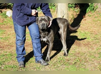 Arkell - SOS - hat Probleme mit den Augen