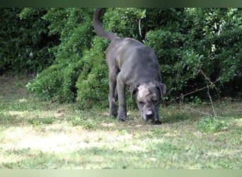 Arkell - Notall - Spuren, die keiner gegangen ist.