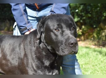 Quilver - Im Stillen reift, was Bestand haben will