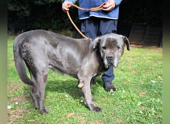 Arkell - Notall - Spuren, die keiner gegangen ist.