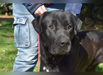 Quilver - Im Stillen reift, was Bestand haben will