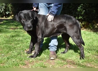 Quilver - Im Stillen reift, was Bestand haben will