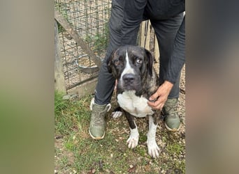 Mars - Sie hatten es doch so fest versprochen!