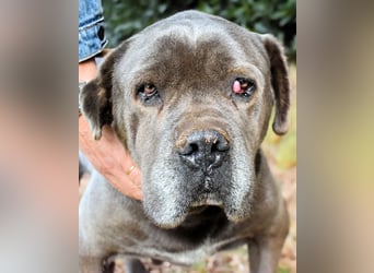 Arkell - Notall - Spuren, die keiner gegangen ist.