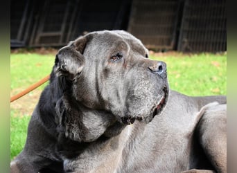 Arkell - Notall - Spuren, die keiner gegangen ist.