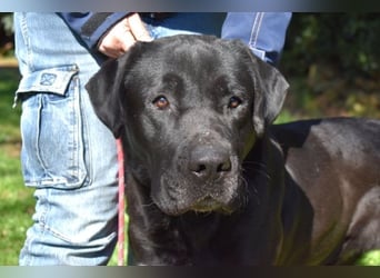 Quilver - Im Stillen reift, was Bestand haben will