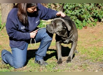 Arkell - SOS - hat Probleme mit den Augen