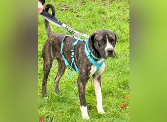 Mars - Sie hatten es doch so fest versprochen!