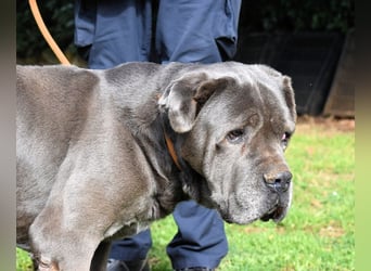 Arkell - Notall - Spuren, die keiner gegangen ist.