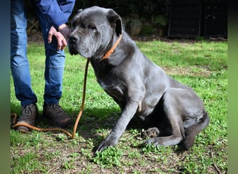 Arkell - Notall - Spuren, die keiner gegangen ist.