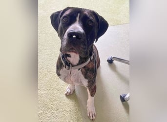 Mars - Sie hatten es doch so fest versprochen!