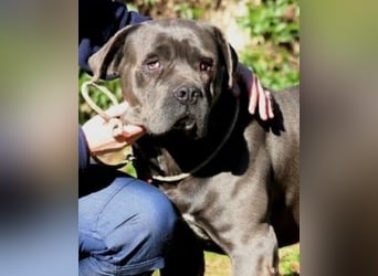 Arkell - SOS - hat Probleme mit den Augen