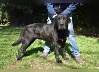 Quilver - Im Stillen reift, was Bestand haben will