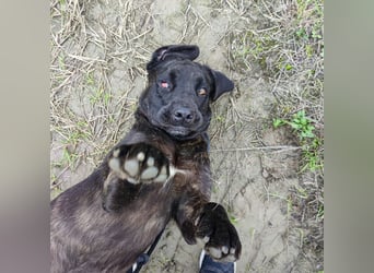 Gustav ein großer Bub