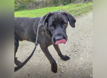 Gustav ein großer Bub