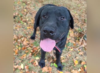 Joey ist traurig Joey ist traurig